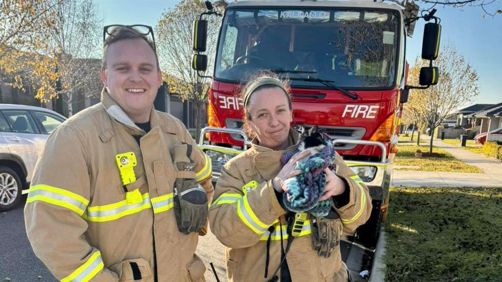 Cat resting after the rescue with Kalkallo crew